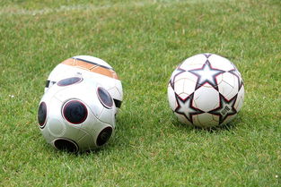 基层足球发展资金紧张，基层足球发展资金紧张的原因