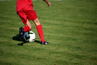 意甲裁判语义辅助判罚系统提升比赛公平性研究，意甲裁判组